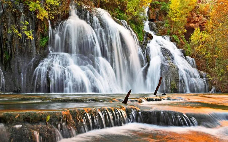 创意全自动